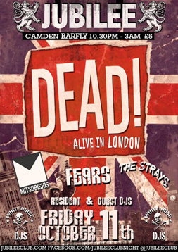 jubilee camden rocks festival flyers by sophie lo