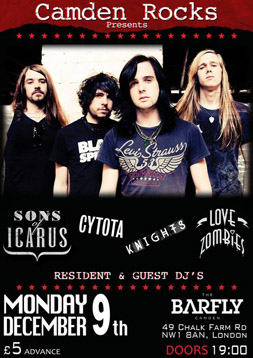 jubilee camden rocks festival flyers by sophie lo