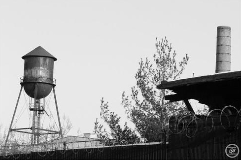 Photography by Sophie Lo