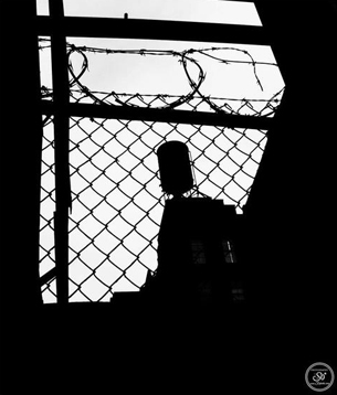 Photography by Sophie Lo