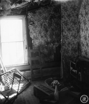 Photography by Sophie Lo